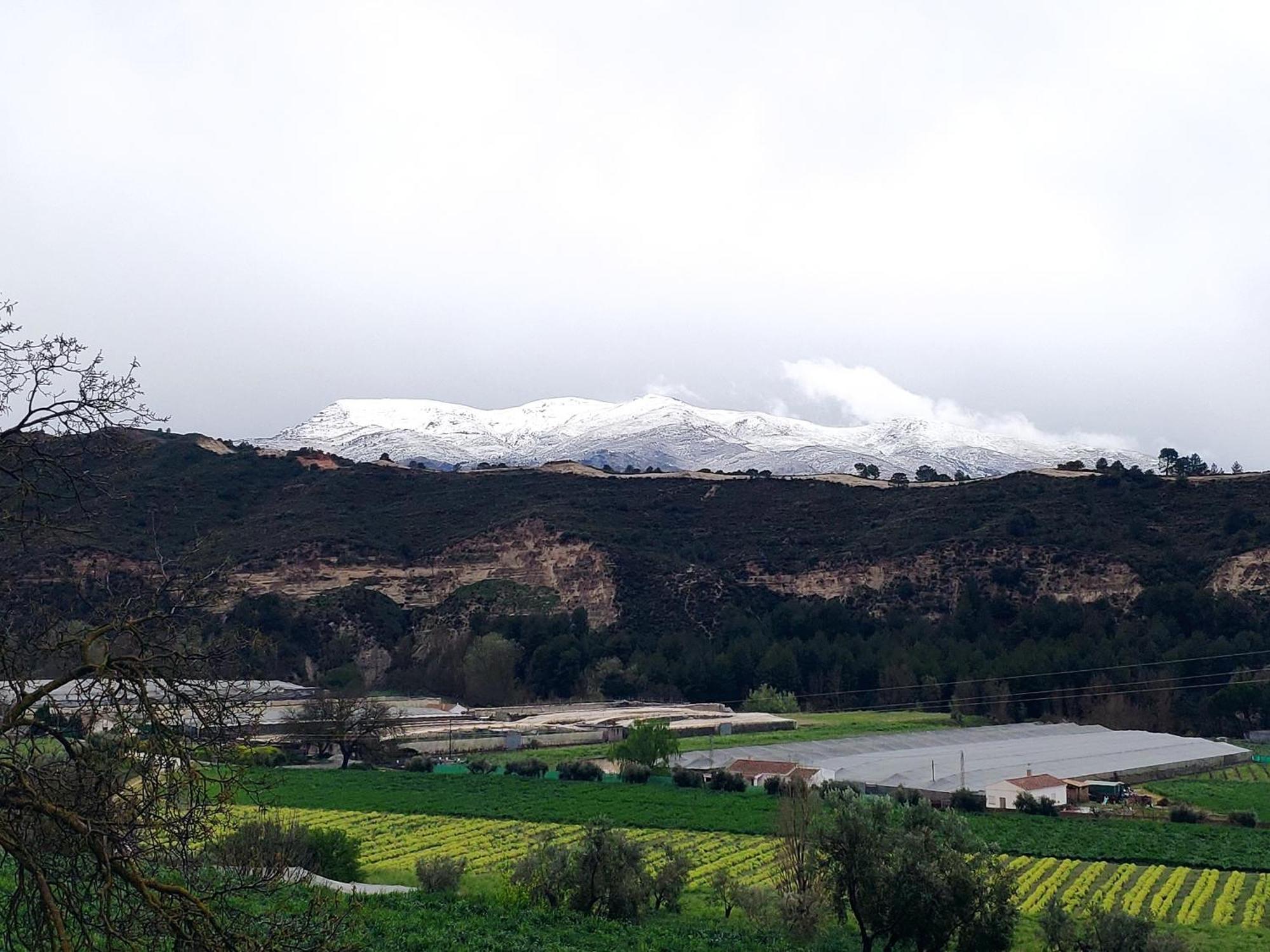 La Chimenea Casa Rural Granada Dış mekan fotoğraf